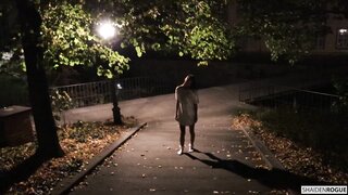 #halloween2019 Shaiden Rogue 1080p